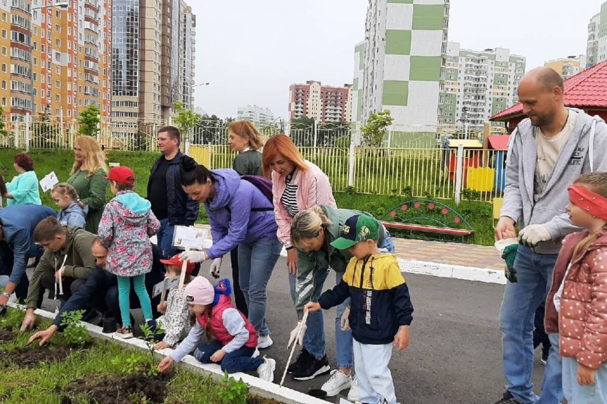 В детском саду №20 появилась Аллея многодетных семей