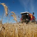 По инициативе «Единой России» Правительство подготовило законопроект об упрощении ввода в оборот земель сельхозназначения