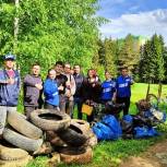 Активисты «Молодой Гвардии» и волонтеры Штаба общественной поддержки «Единой России» провели субботник в городском лесу