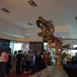 При поддержке «Единой России» школьники посетили палеонтологический музей
