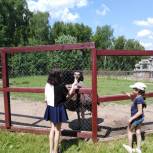 При поддержке «Единой России» более 30 семей с детьми с ОВЗ из Тульской области отдохнули за городом