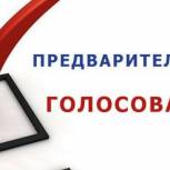 В Единый день голосования в органы местного самоуправления Иркутской области будут избраны 2887 человек
