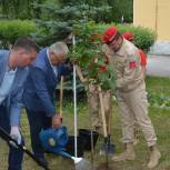 В городском округе город Бор открыли мемориальные доски и высадили деревья в память о военнослужащих, погибших при исполнении служебного долга
