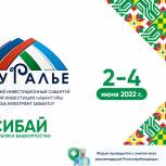 Владимир Сенин проведет заседание экспертного совета на инвестсабантуе в Сибае