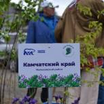 Саженцы яблонь и сирени высадили в «Саду памяти» мильковские партийцы