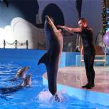 При поддержке «Единой России» дети из малообеспеченных семей Грозного побывали на шоу дельфинов