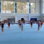 В Воронеже  «Единая Россия» организовала мастер-класс для гимнастов спортивной школы
