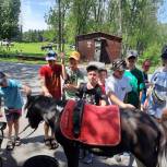 Для воспитанников детского дома в Кемеровской области «Единая Россия» устроила праздник