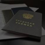 Госдума приняла закон Единой России об упрощенном трудоустройстве подростков