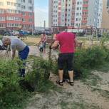 Липчане высадили деревья в одном из дворов