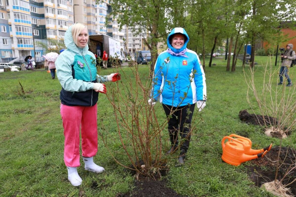 В Красноярске в седьмой раз прошла экологическая акция «Сиреневый день»