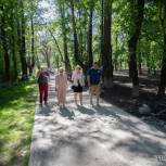 Общественный контроль благоустройства парка Ветеранов: пешеходные дорожки оборудованы на 15%