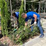 «Единая Россия» восстановила зелёные насаждения на Аллее Героев в Волгограде