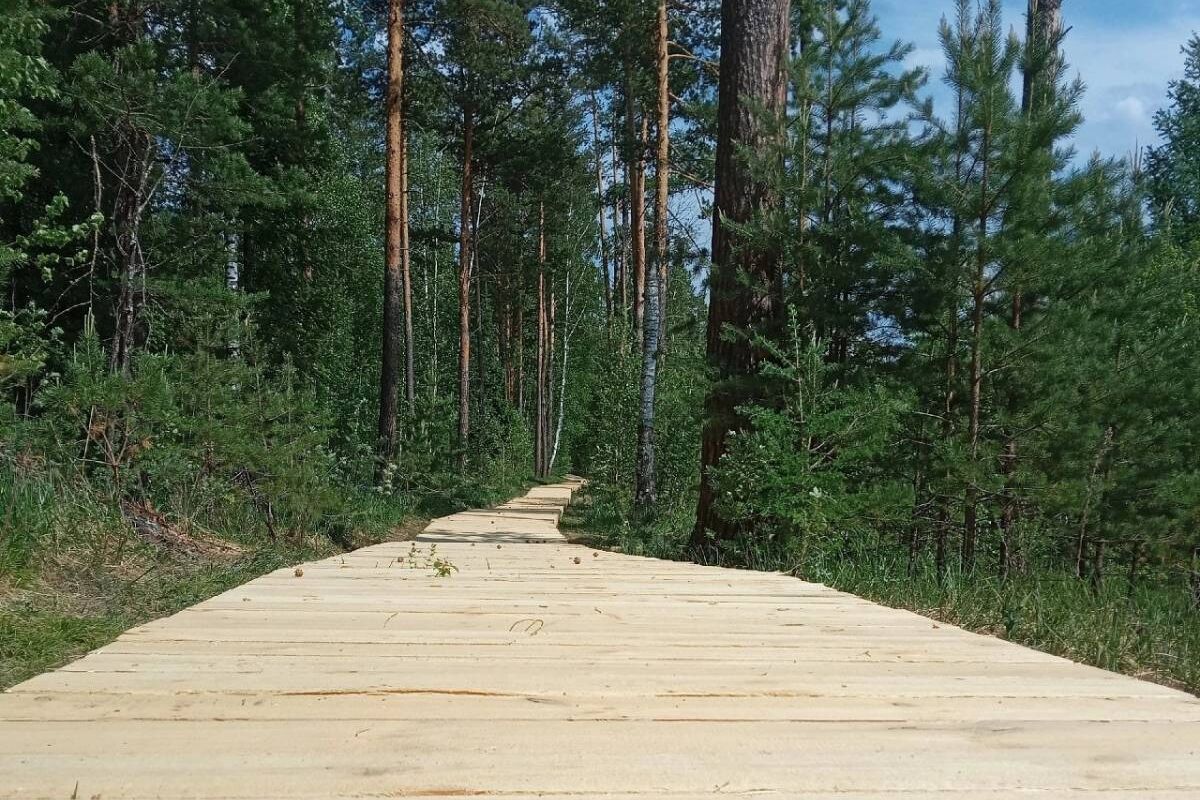 Депутаты проверили строительство первой в Нязепетровском районе эко-тропы