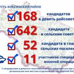 Результаты электронного предварительного голосования «Единой России» по Усть-Коксинскому району