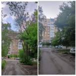 После обращения депутата облдумы на Астраханской спилили аварийное дерево