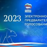 В двух районах Коми стартовало электронное предварительное голосование «Единой России»