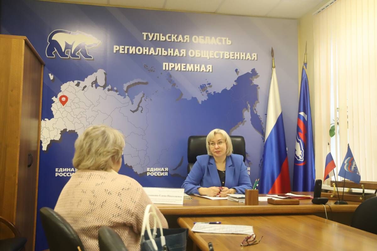 Тульская область проект