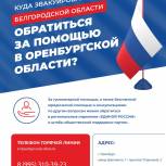 Жители Белгородской области могут обратиться за помощью в «Единую Россию»