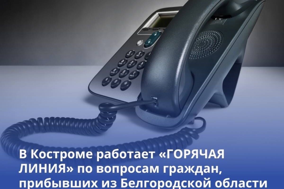 В регионе заработала «горячая линия» по вопросам помощи белгородцам |  14.06.2023 | Кострома - БезФормата