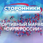 В Новгородской области продолжается всероссийский спортивный марафон «Сила России»