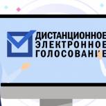 Избиратели из Щекино и Первомайского с 24 июля смогут подать заявку для участия в ДЭГ