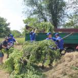 Активисты благоустроили территорию берега реки Лугань в городе Зимогорье