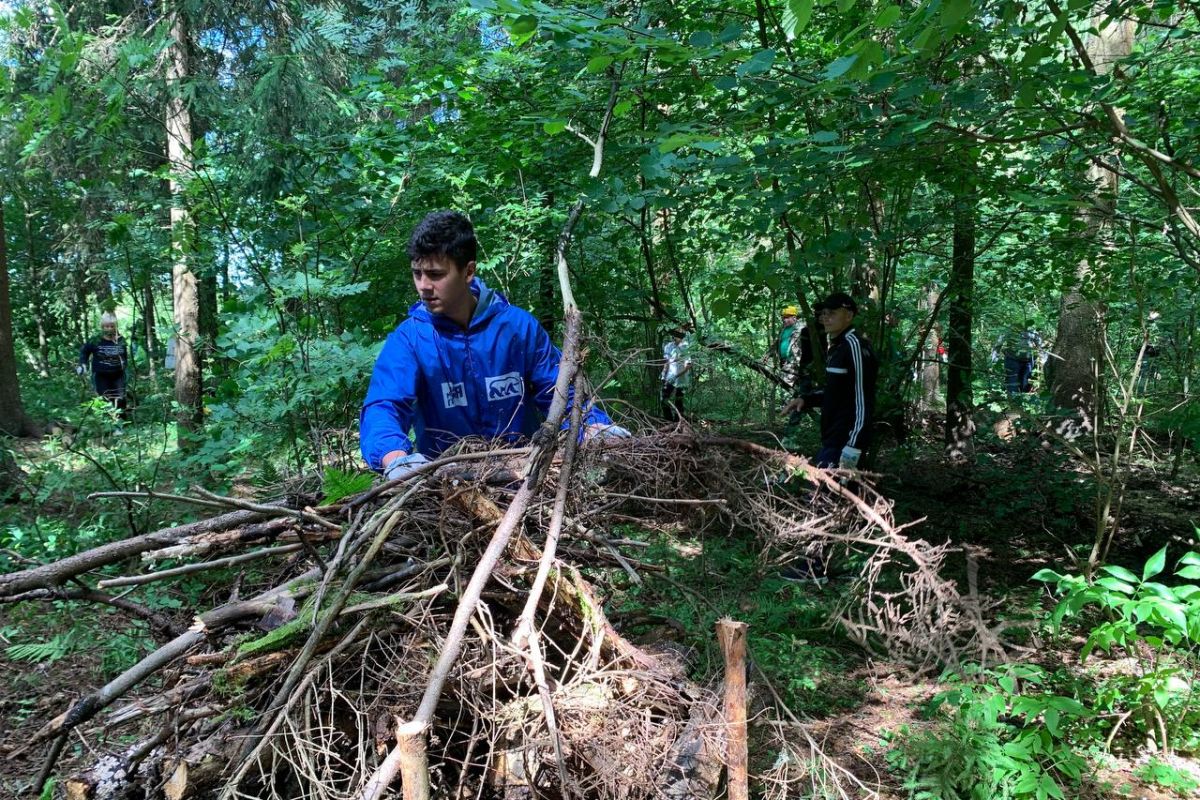 Воскресенск, Можайск и Лобня присоединились к акции «Единой России» «Чистый  лес»