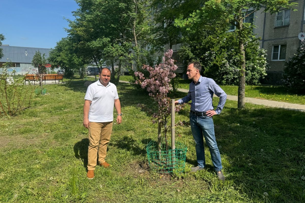 Региональный координатор партийного проекта "Зеленая Экономика" Александр Болдырев и Региональный координатор федерального партийного проекта «Здоровое будущее» Алексей Хейфец помогли с содержанием Кукковского сквера