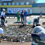 В городе Зима Иркутской области активисты «Единой России» высадили более 100 деревьев и кустарников