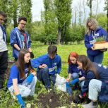 «Молодая Гвардия Единой России» организовала акцию «Сад памяти» в Иркутске