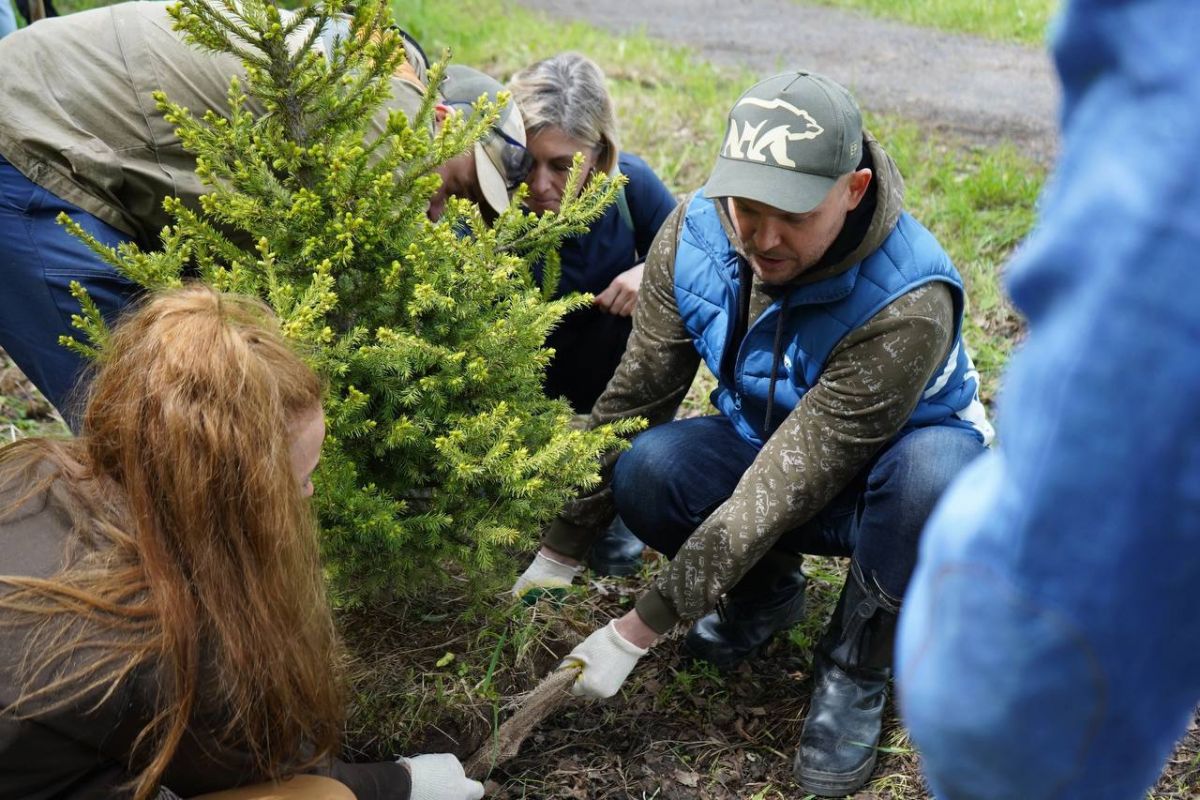 Депутаты горсовета Красноярска высадили хвойные деревья на территории эко-парка «Гремячая грива»