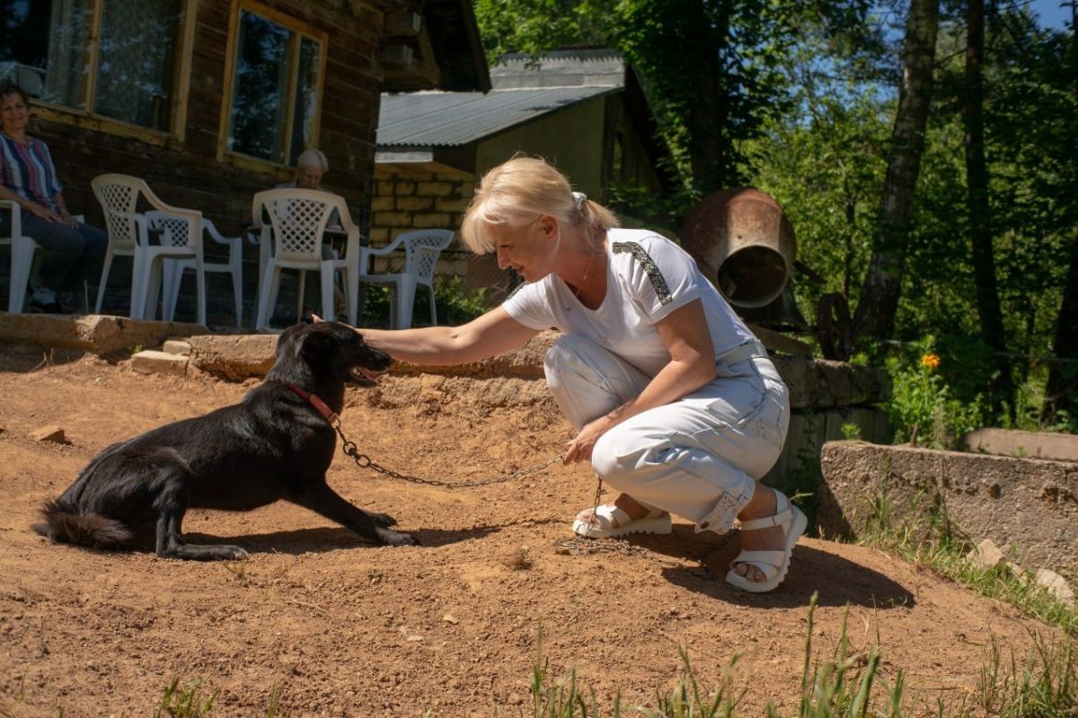 Руководитель «Ваш Тыл 67» Елена Потапенкова помогла приюту для бездомных животных