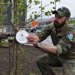 В Магадане единороссы, волонтёры и участники СВО высадили деревья в рамках акции «Сад памяти»