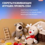 Хабаровчан приглашают принять участие в диктанте «Секреты Развивающих Игрушек: Проверь себя!»
