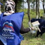 В Чеченской Республике День эколога отметили массовыми субботниками