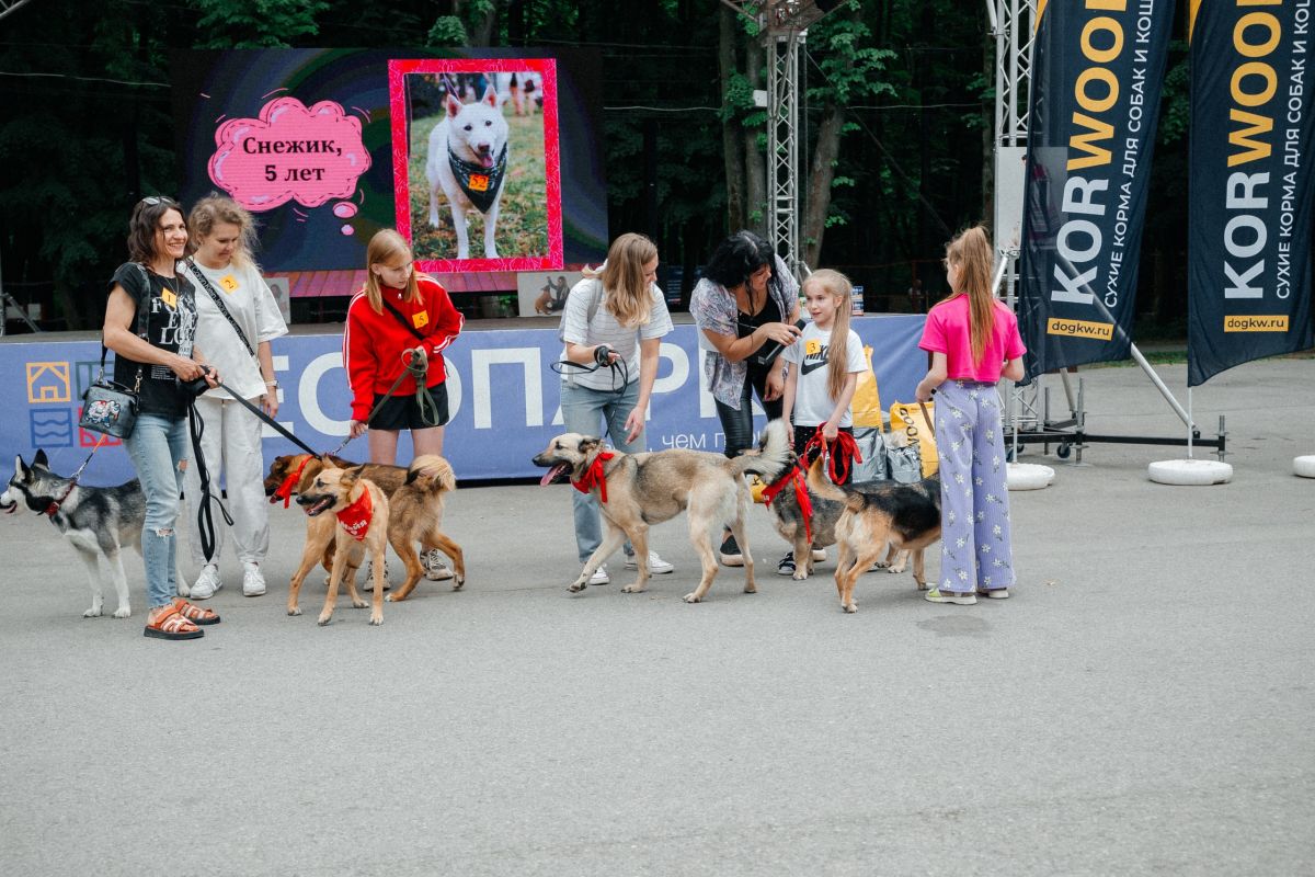 В Рязани прошла первая в 2025 году выставка для собак и кошек «Пойдем домой»