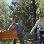 «Единая Россия» приглашает жителей Домодедово принять участие в акции «Чистый лес»