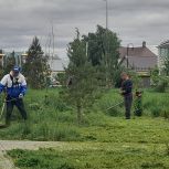 Сделаем вместе город чище и зеленее