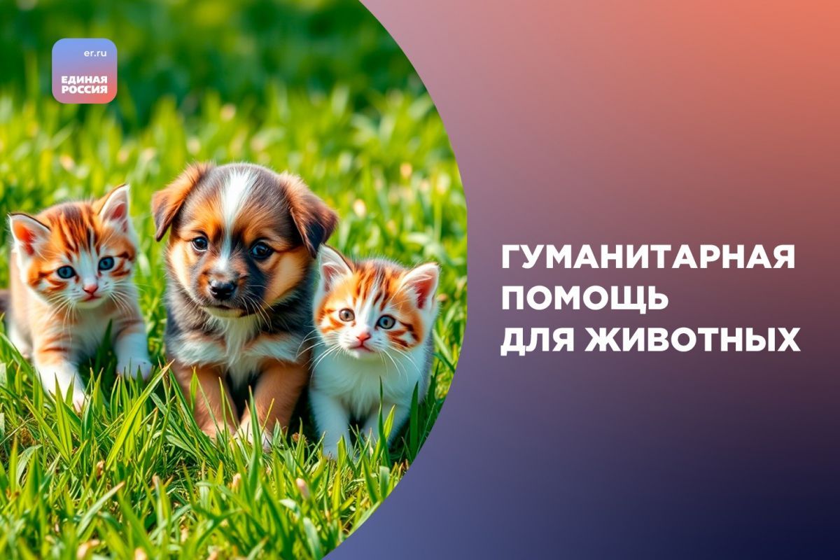 «Единая Россия» объявляет сбор гуманитарной помощи для животных