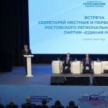 В Ростовской области патриотическая акция «Дон помнит» станет ежегодной