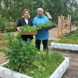 В фокусе внимания депутатов-единороссов благоустройство Соломбальского округа