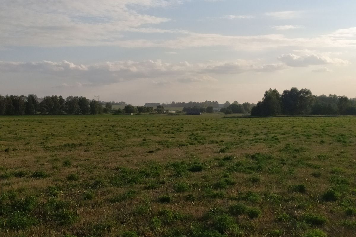Татарстанцы могут принять участие во Всероссийском конкурсе видеороликов и фотографий «Российское село»