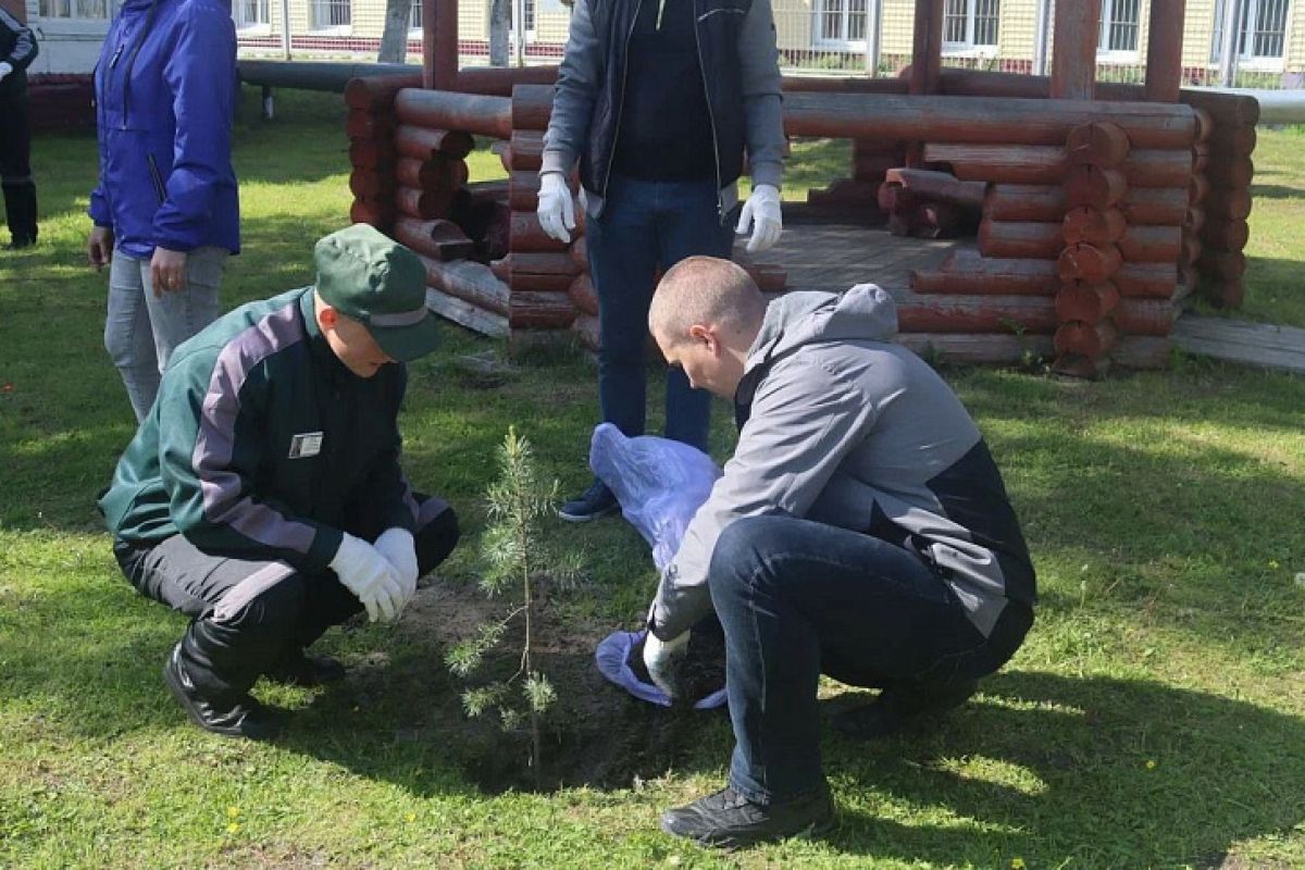 В Талагах в Архангельске появился сад Памяти
