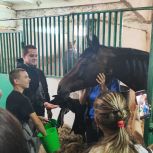 «Единая Россия» организовала мастер-класс по верховой езде для краснодонской молодежи