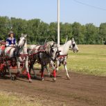Сабантуй-2025: Аграриев Башкортостана отметили за успехи