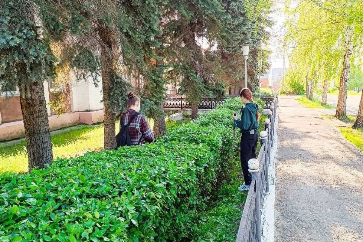 В Уйском местном отделении подростковый трудовой отряд Главы Уйского муниципального района проводит субботники