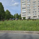 Новодвинские партийцы навели порядок в одном из скверов Новодвинска