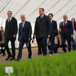 Архангельский ЦБК открыл первый в Арктической зоне России лесной селекционно-семеноводческий центр