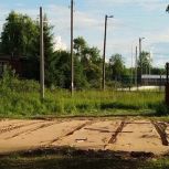 В селе Черевково Красноборского округа появится веревочный парк